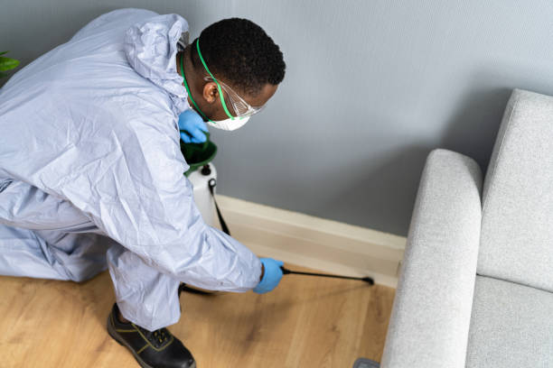 Real Estate Pest Inspections in Kohler, WI